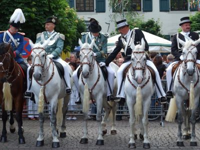 Hier Oberst Wolfgang Manns