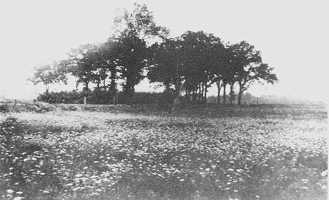 schetruut in Korschenbroich